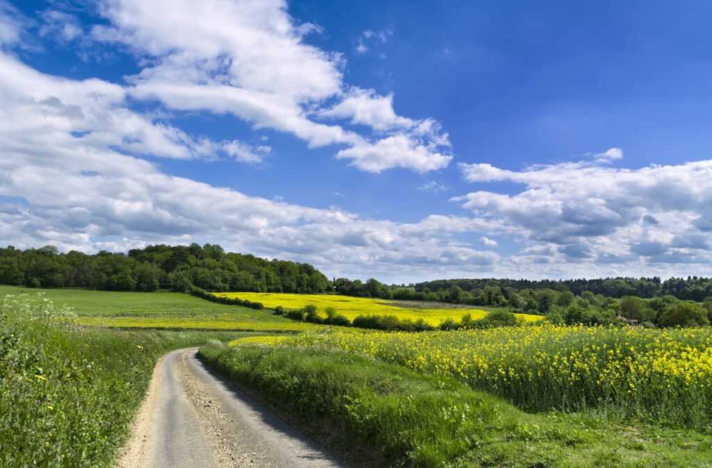 Countryside landscape
