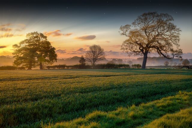 An East Anglian farm