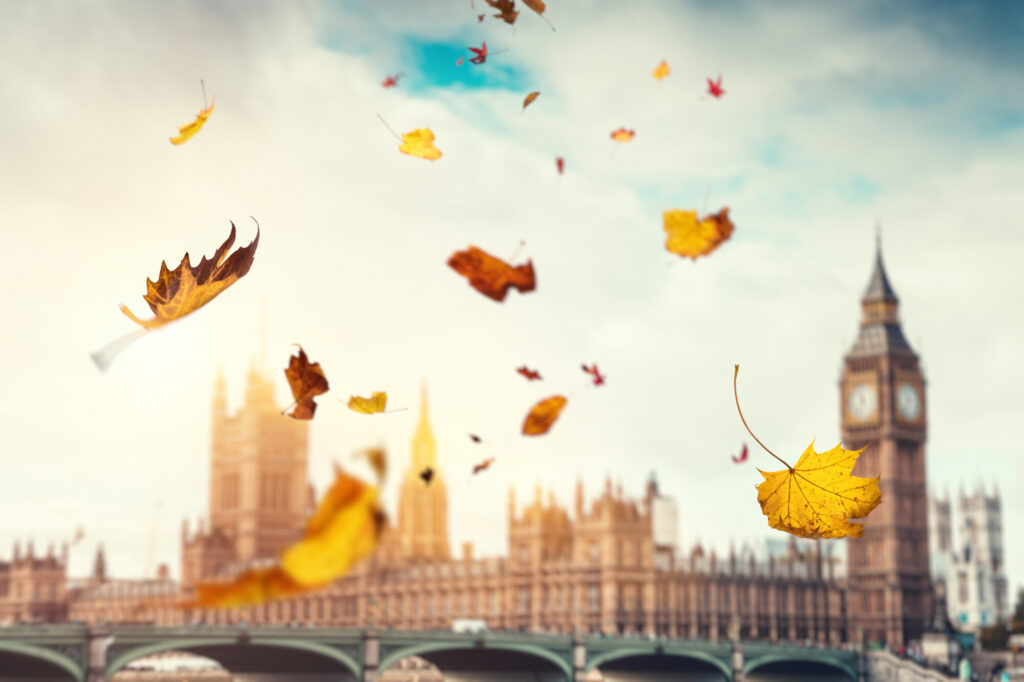 Picture of the house of commons with autumn leaves falling in front of it